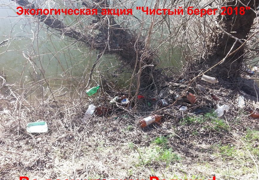 Чистый берег