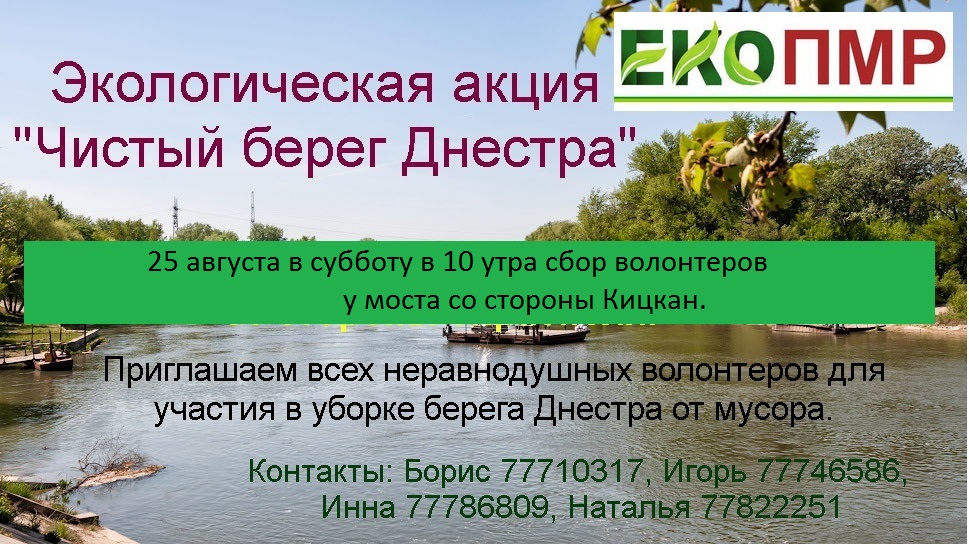 Чистый берег Днестра 25 августа 2018