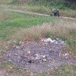 Березовая роща в Бендерах