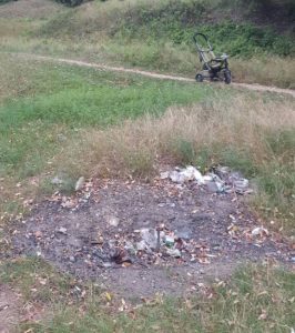 Березовая роща в Бендерах