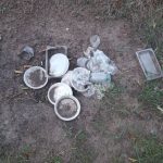 Приднестровье. Березовая роща в Бендерах замусорена