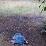 Березовая роща в Бендерах в мусоре