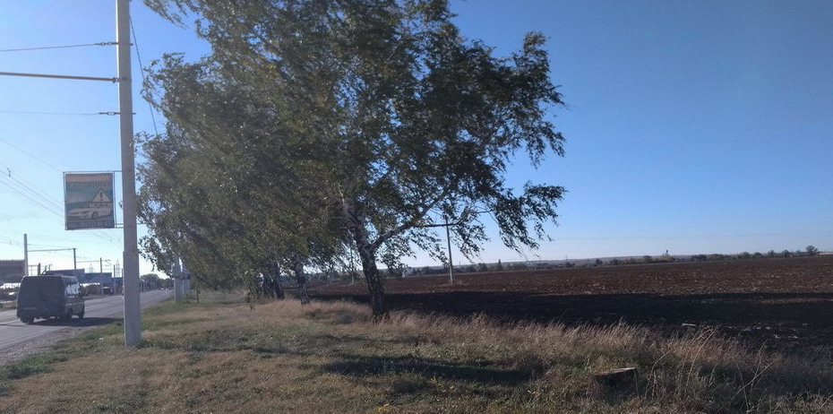 Березка