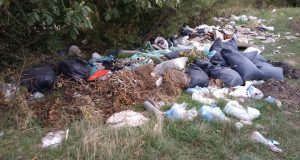 Мусор между Тирасполем и Парканами