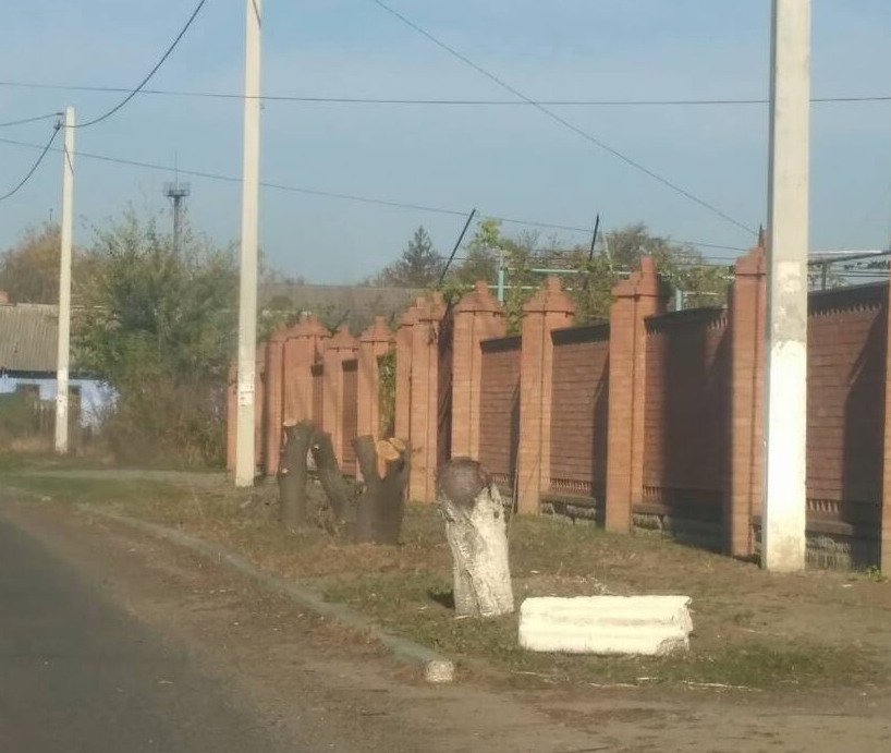 Слободзея - рубка деревьев