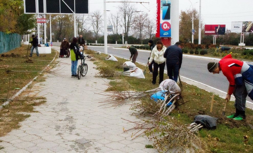 Посадка деревьев в Тирасполе 11.11.2018