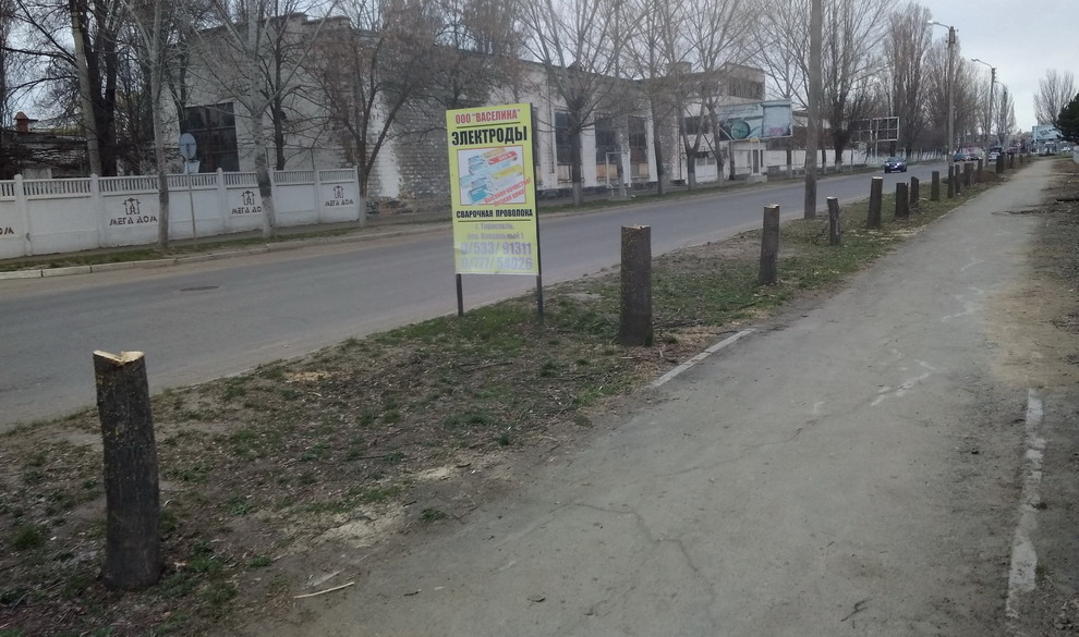 Деревья городской бассейн