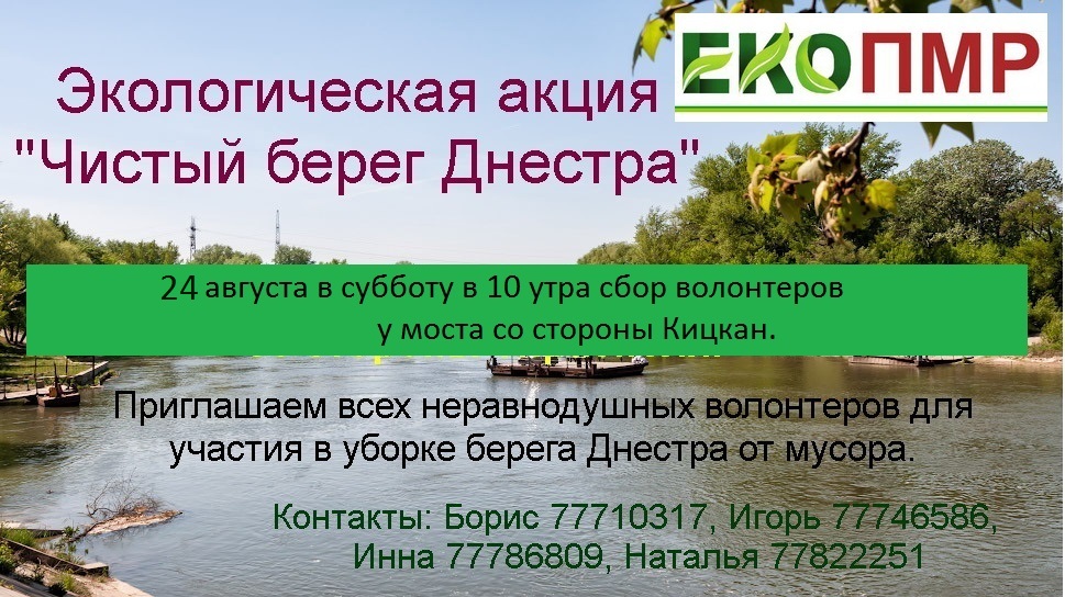 Чистый берег Днестра 2019