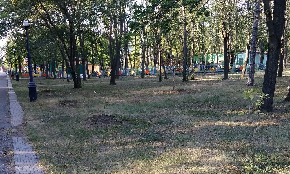Усыхающий Парк Победы