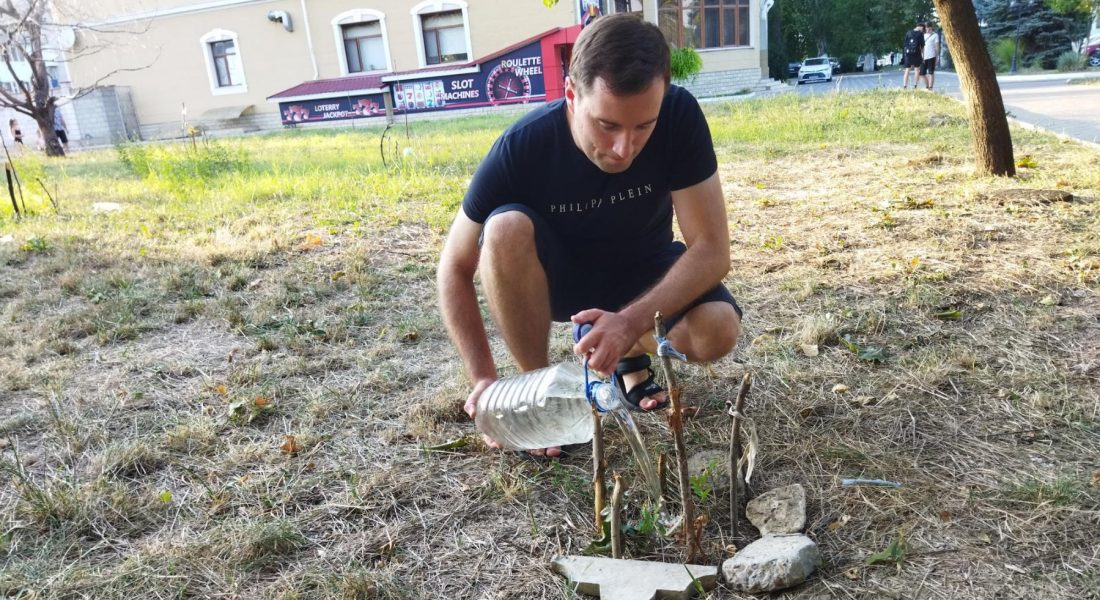 Полив саженцев в скверах Тирасполя