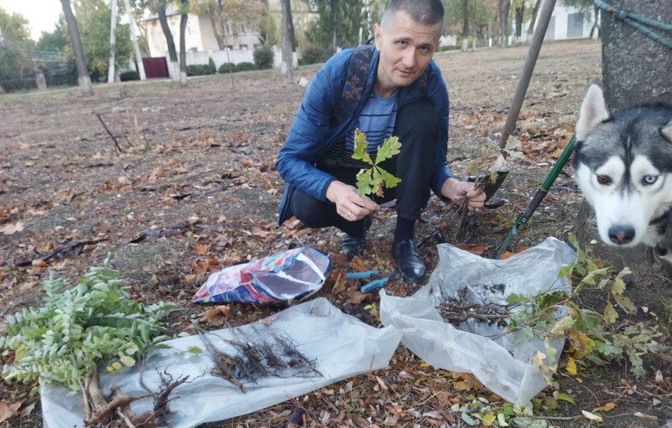 Высадка саженцев деревьев в Тирасполе. Орех, акация, дуб.