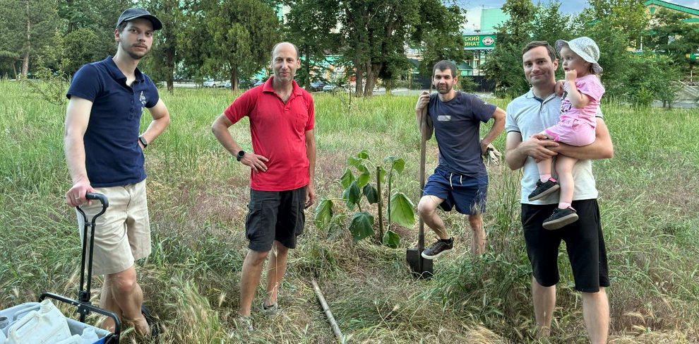 Высадка павловнии в парке Кирова.